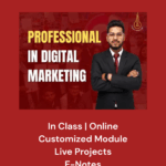 Professional In Digital Marketing